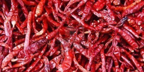 Dry Red Chilli